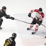 hockey sur glace ligue magnus j15 dragons rouen gothiques amiens gazette sports theo begler