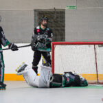 roller hockey élite playoffs match 1 : green falcons de pont de metz v fous du bitume de villeneuve
