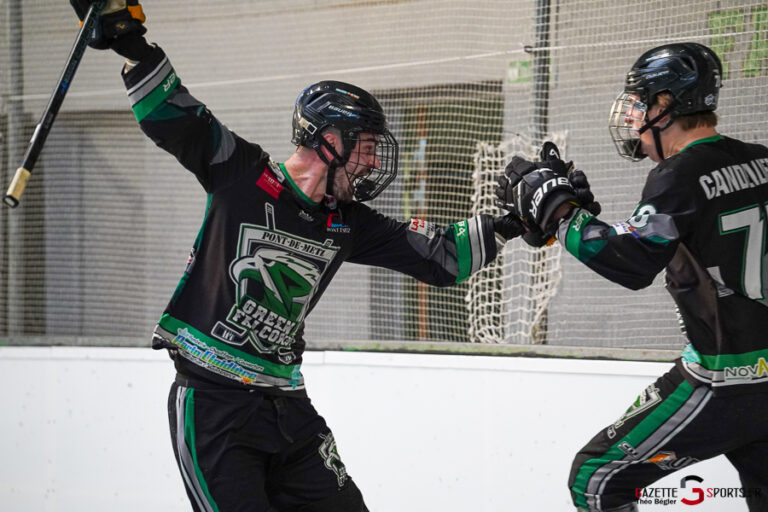 roller hockey élite playoffs match 1 : green falcons de pont de metz v fous du bitume de villeneuve