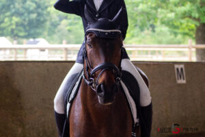 équitation illu concoursdressage louanelaggoune.jpg