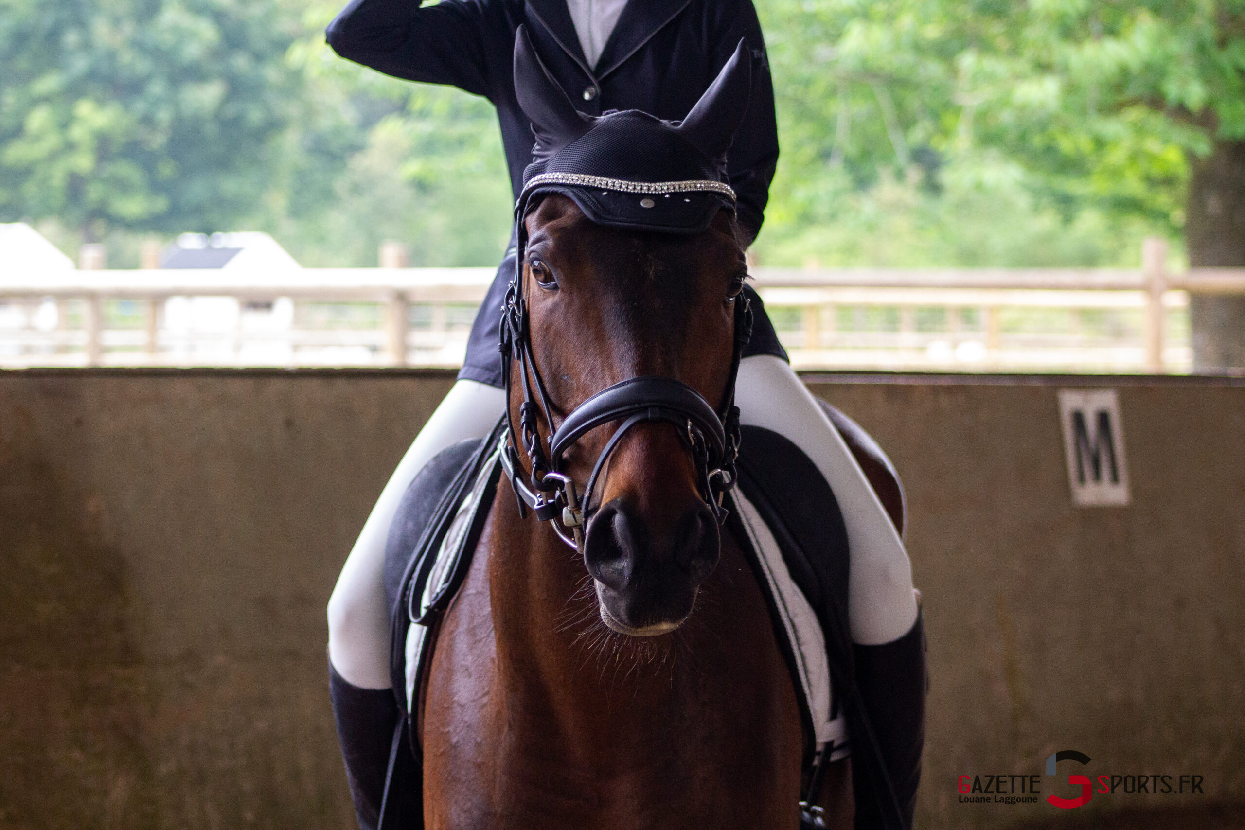 équitation illu concoursdressage louanelaggoune.jpg