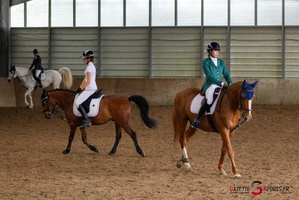 équitation concoursdressage louanelaggoune4