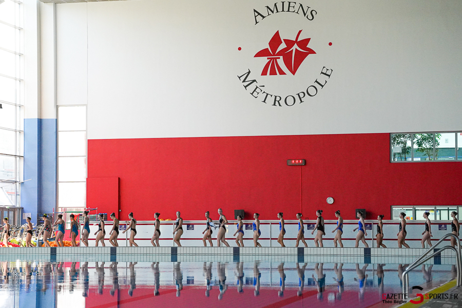 natation artistique amiens métropole natation : gala 2026