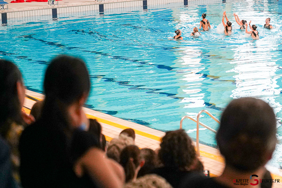 natation artistique amiens métropole natation : gala 2026