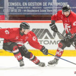 hockey sur glace (synerglace ligue magnus) : entraînement des gothiques d’amiens