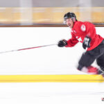 hockey sur glace (synerglace ligue magnus) : entraînement des gothiques d’amiens