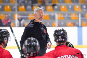 hockey sur glace (synerglace ligue magnus) : entraînement des gothiques d’amiens