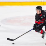 hockey sur glace (espoir u20 journée 2) : gothiques d’amiens v hc74
