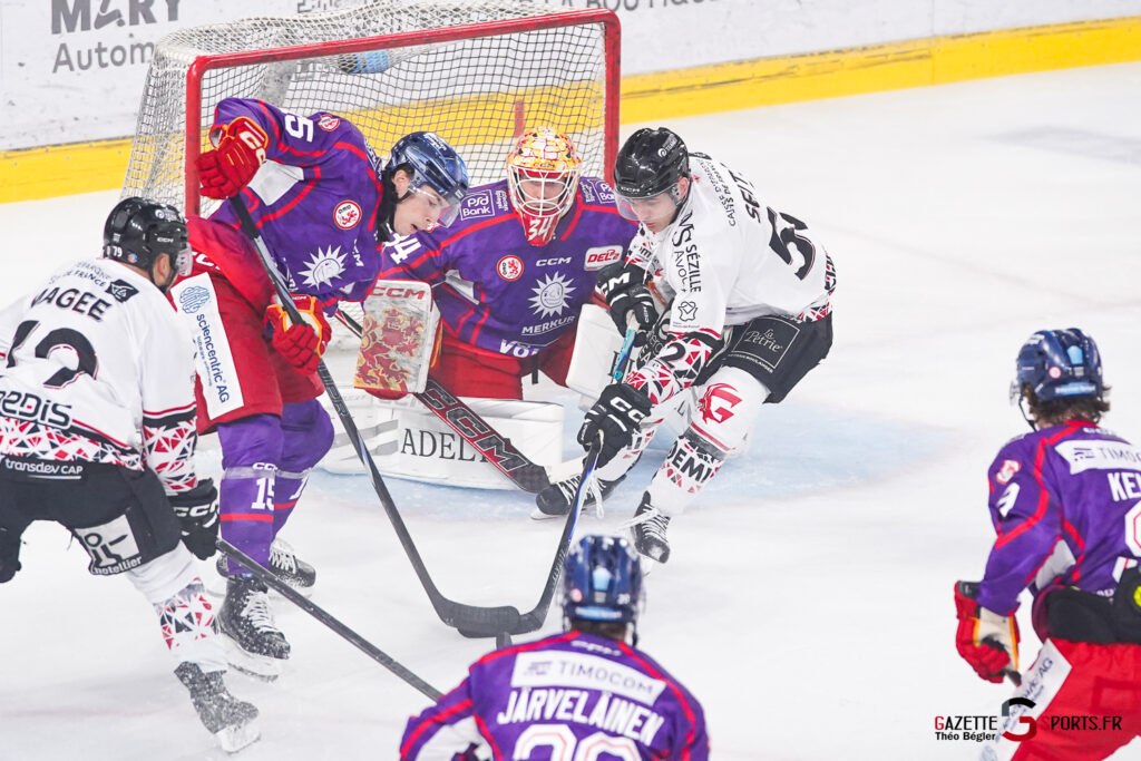 hockey sur glace (match de pr&eacute;paration) : gothiques d&rsquo;amiens v d&uuml;sseldorfer eislauf gemeinschaft