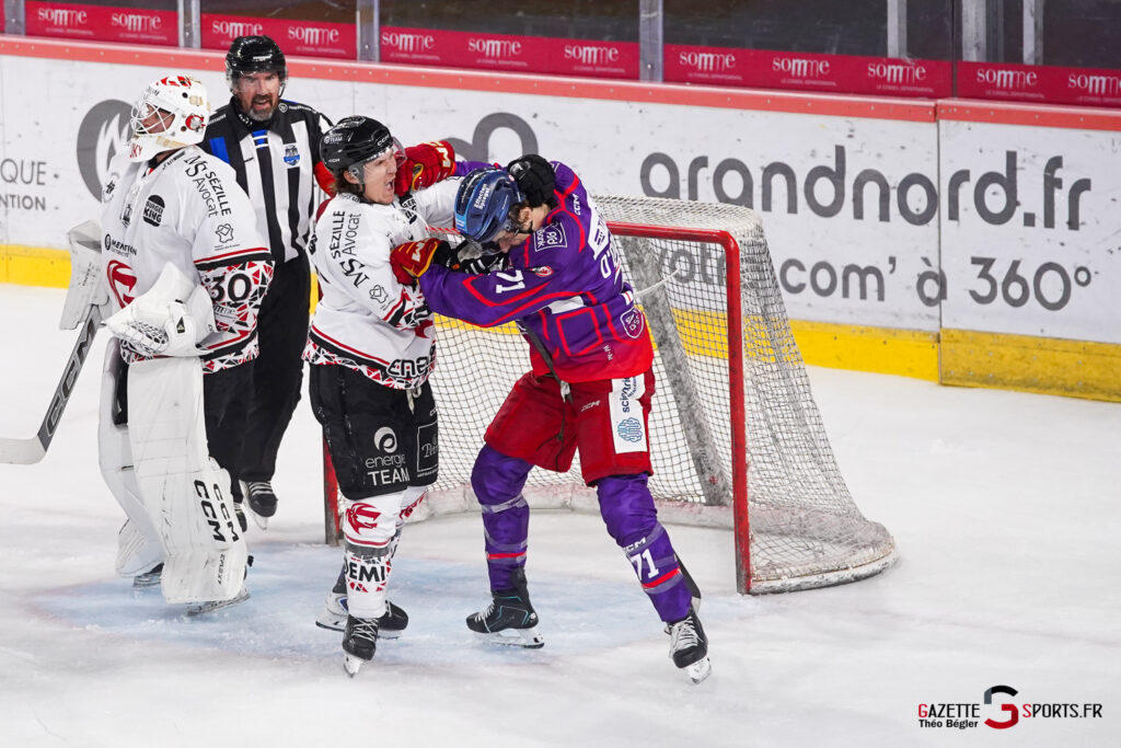 hockey sur glace (match de pr&eacute;paration) : gothiques d&rsquo;amiens v d&uuml;sseldorfer eislauf gemeinschaft