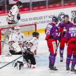 hockey sur glace (match de préparation) : gothiques d’amiens v düsseldorfer eislauf gemeinschaft