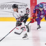 hockey sur glace (match de préparation) : gothiques d’amiens v düsseldorfer eislauf gemeinschaft