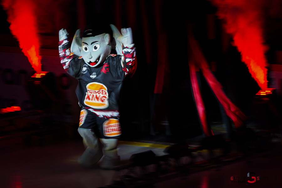 hockey sur glace (synerglace ligue magnus journée 1) : gothiques d’amiens v aigles de nice