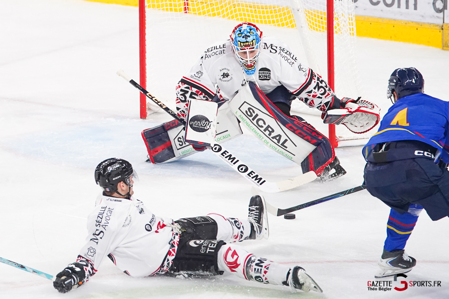 hockey sur glace (synerglace ligue magnus journée 1) : gothiques d’amiens v aigles de nice