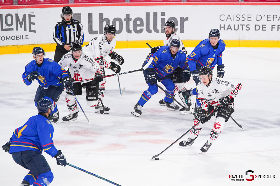 hockey sur glace (synerglace ligue magnus journée 1) : gothiques d’amiens v aigles de nice
