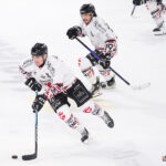 hockey sur glace (synerglace ligue magnus journée 1) : gothiques d’amiens v aigles de nice