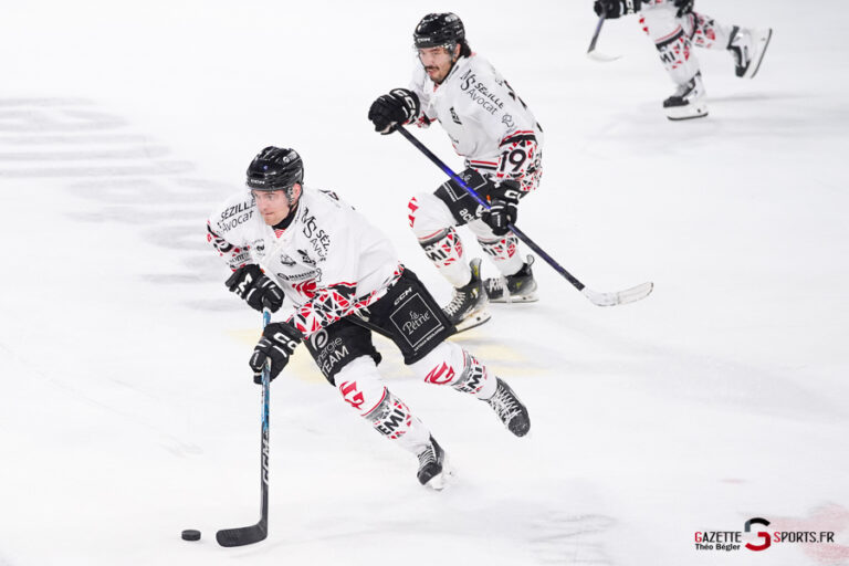hockey sur glace (synerglace ligue magnus journée 1) : gothiques d’amiens v aigles de nice