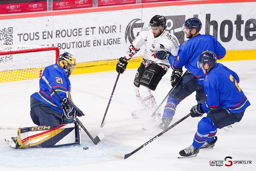 hockey sur glace (synerglace ligue magnus journée 1) : gothiques d’amiens v aigles de nice