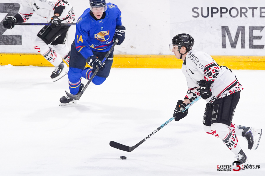 hockey sur glace (synerglace ligue magnus journée 1) : gothiques d’amiens v aigles de nice