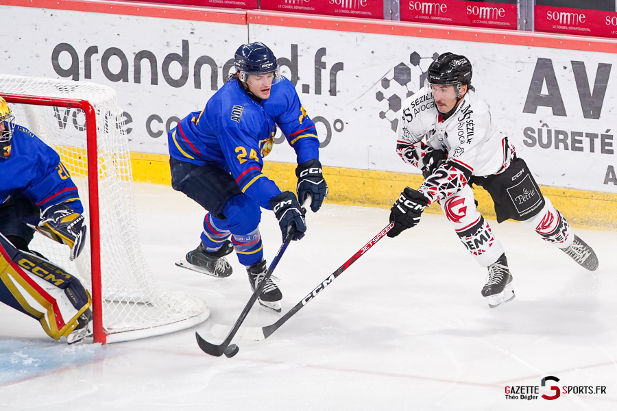hockey sur glace (synerglace ligue magnus journée 1) : gothiques d’amiens v aigles de nice