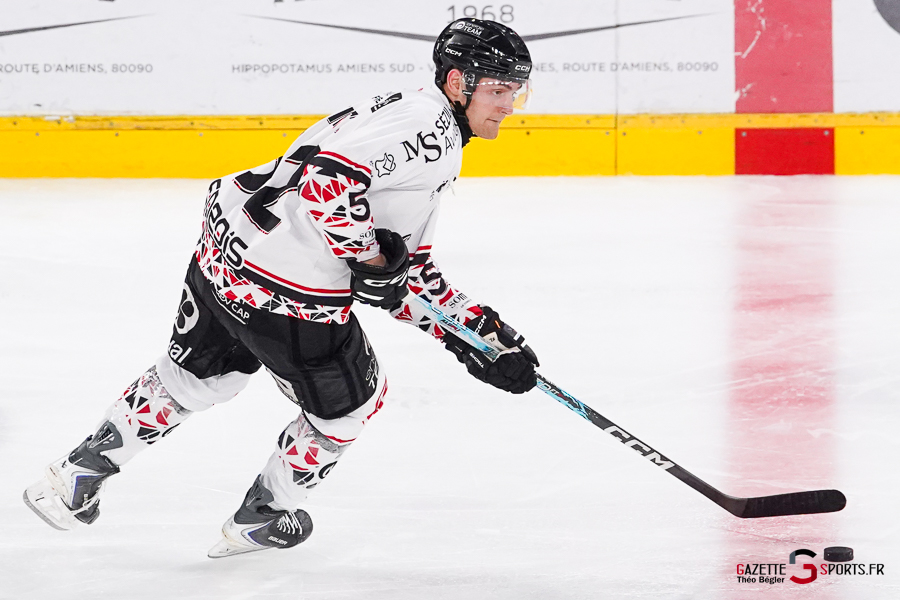 hockey sur glace (synerglace ligue magnus journée 1) : gothiques d’amiens v aigles de nice