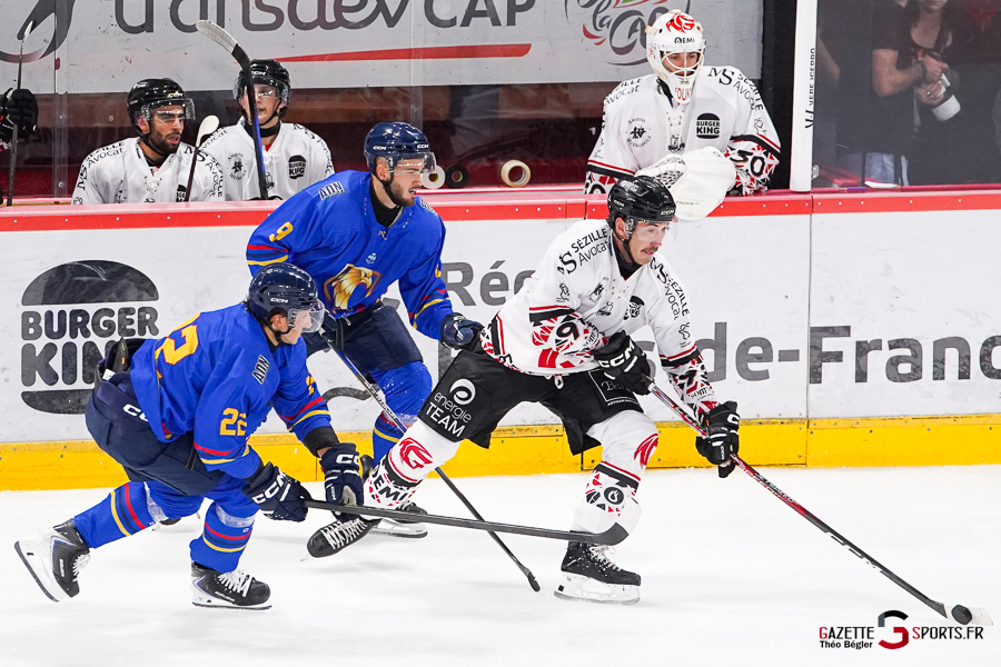 hockey sur glace (synerglace ligue magnus journée 1) : gothiques d’amiens v aigles de nice