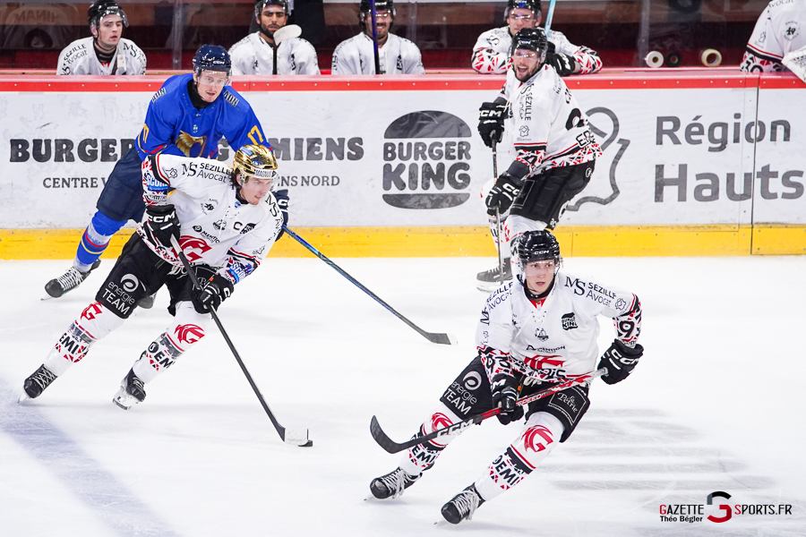 hockey sur glace (synerglace ligue magnus journée 1) : gothiques d’amiens v aigles de nice