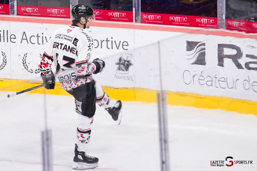 hockey sur glace (synerglace ligue magnus journée 1) : gothiques d’amiens v aigles de nice