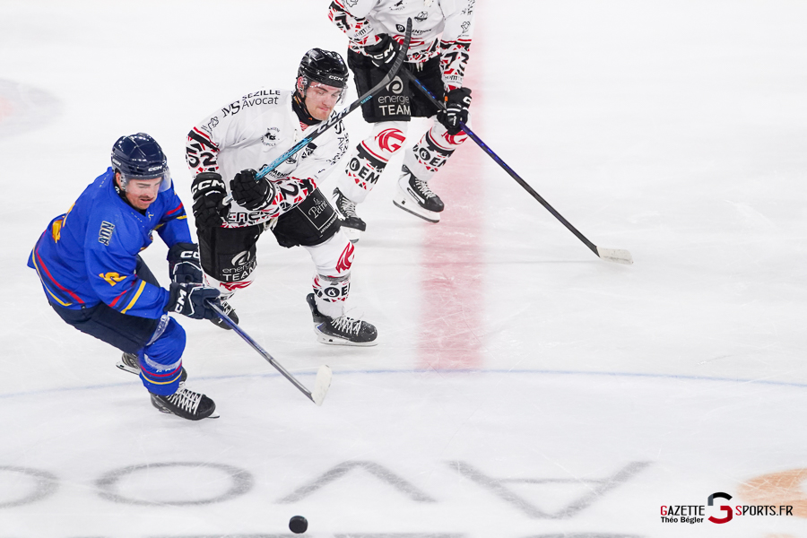 hockey sur glace (synerglace ligue magnus journée 1) : gothiques d’amiens v aigles de nice