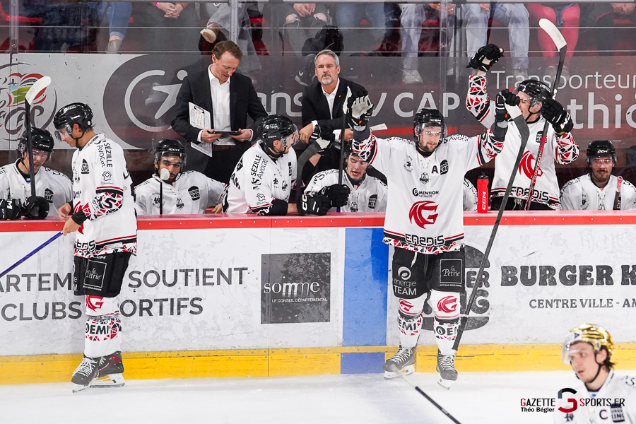hockey sur glace (synerglace ligue magnus journée 1) : gothiques d’amiens v aigles de nice