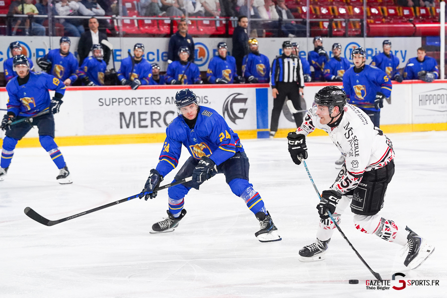 hockey sur glace (synerglace ligue magnus journée 1) : gothiques d’amiens v aigles de nice