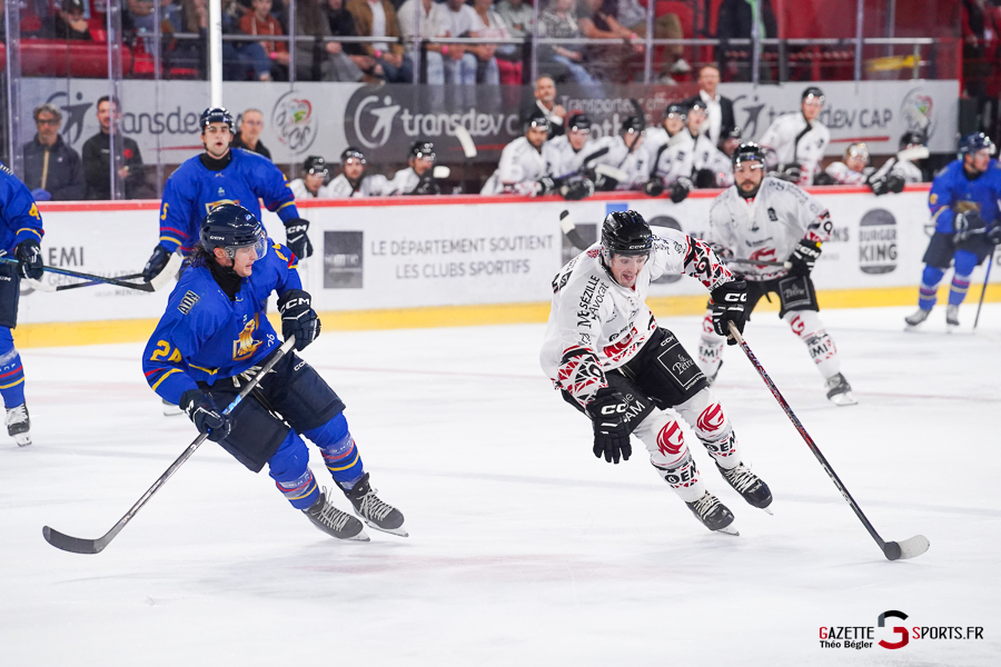 hockey sur glace (synerglace ligue magnus journée 1) : gothiques d’amiens v aigles de nice