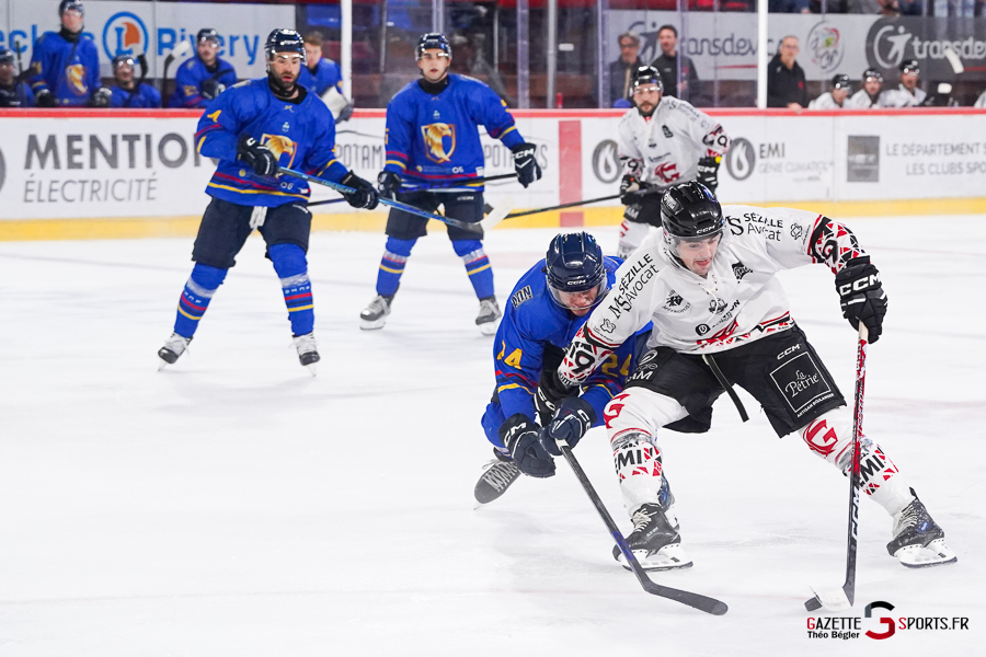hockey sur glace (synerglace ligue magnus journée 1) : gothiques d’amiens v aigles de nice
