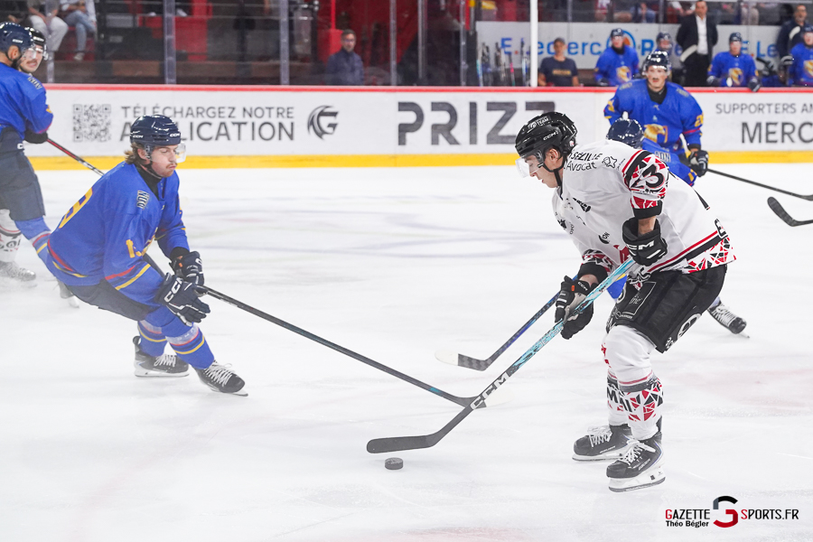 hockey sur glace (synerglace ligue magnus journée 1) : gothiques d’amiens v aigles de nice