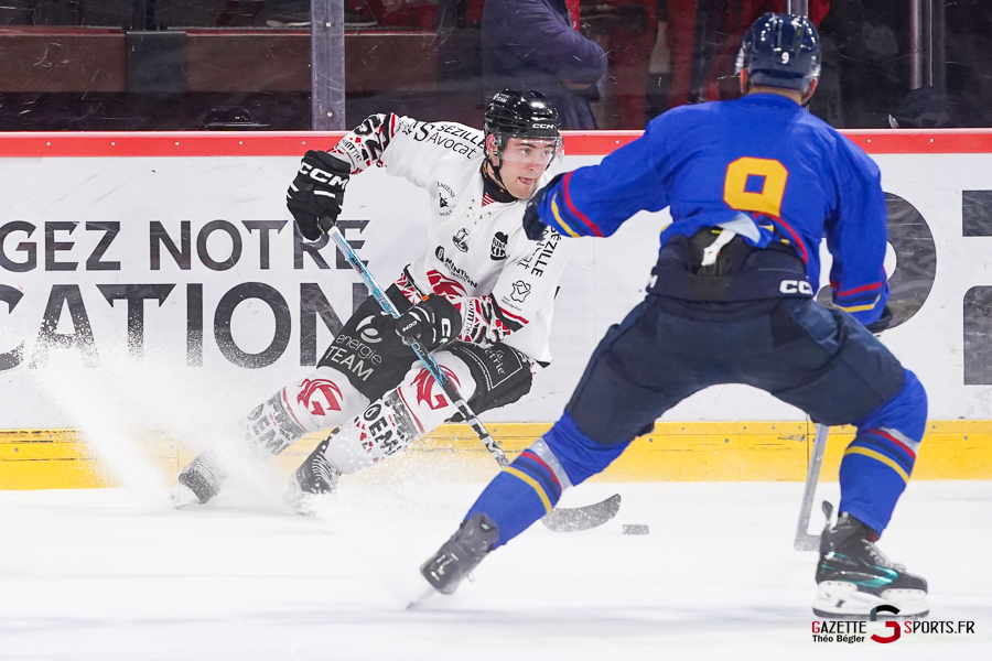 hockey sur glace (synerglace ligue magnus journée 1) : gothiques d’amiens v aigles de nice