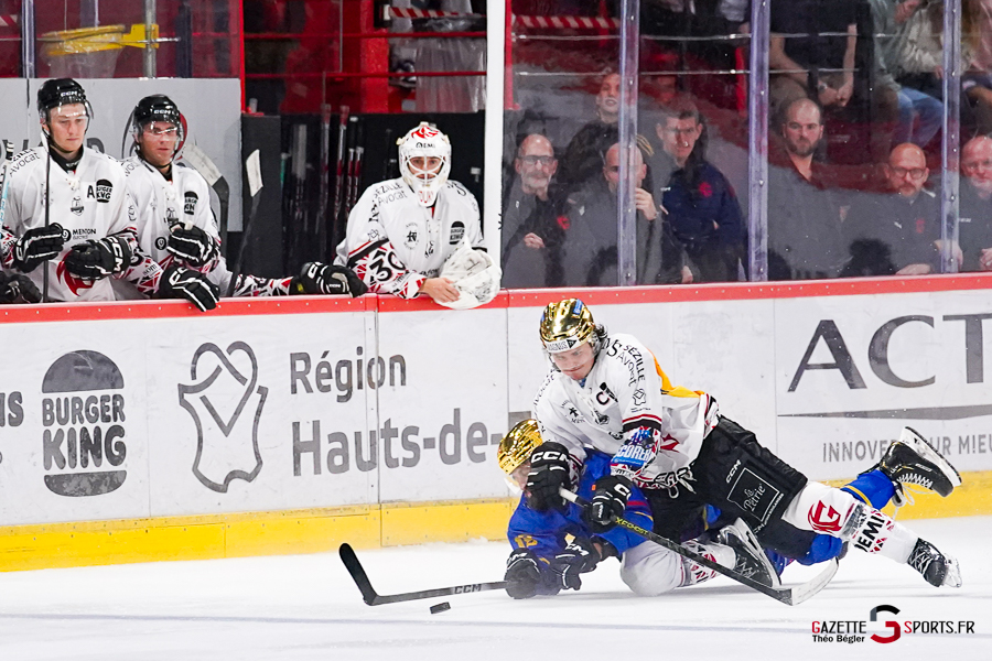 hockey sur glace (synerglace ligue magnus journée 1) : gothiques d’amiens v aigles de nice