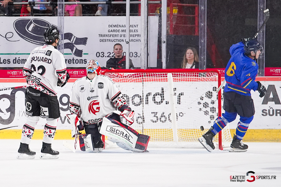 hockey sur glace (synerglace ligue magnus journée 1) : gothiques d’amiens v aigles de nice