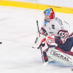 hockey sur glace (synerglace ligue magnus journée 1) : gothiques d’amiens v aigles de nice