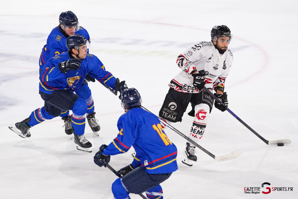 hockey sur glace (synerglace ligue magnus journ&eacute;e 1) : gothiques d&rsquo;amiens v aigles de nice