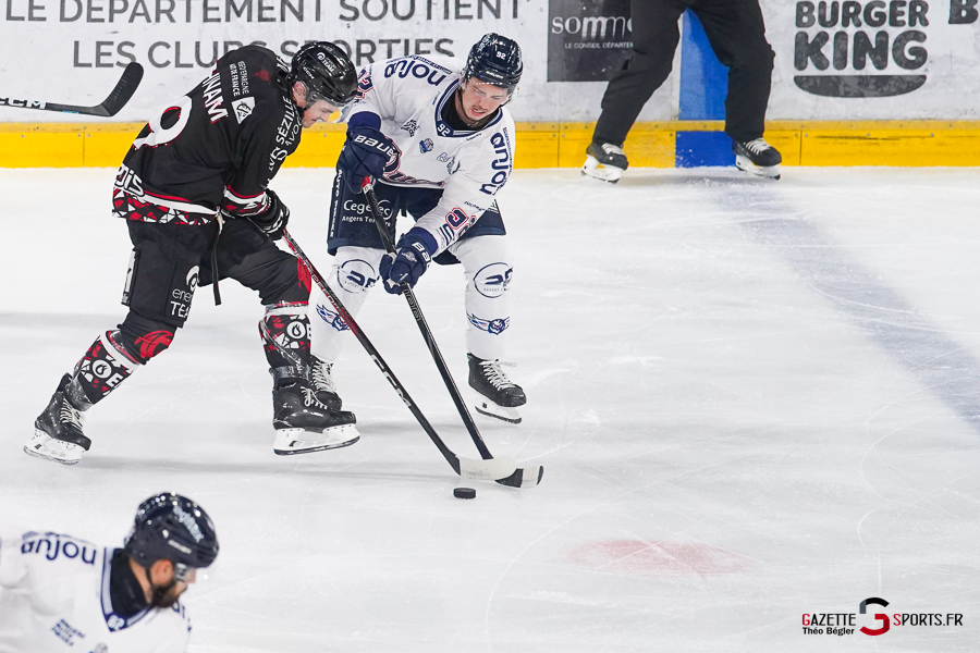 hockey sur glace (synerglace ligue magnus journée 3) : gothiques d’amiens v ducs d’angers