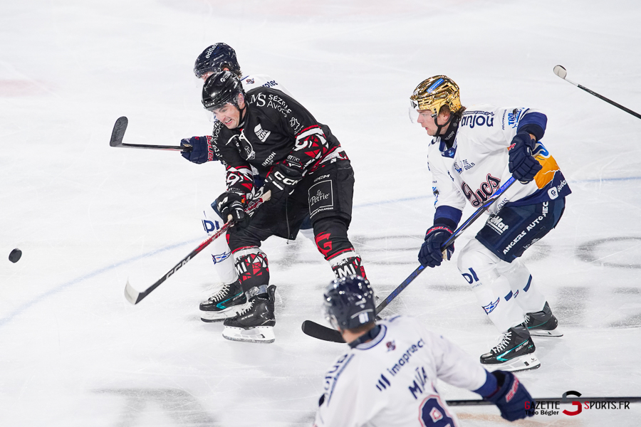 hockey sur glace (synerglace ligue magnus journée 3) : gothiques d’amiens v ducs d’angers