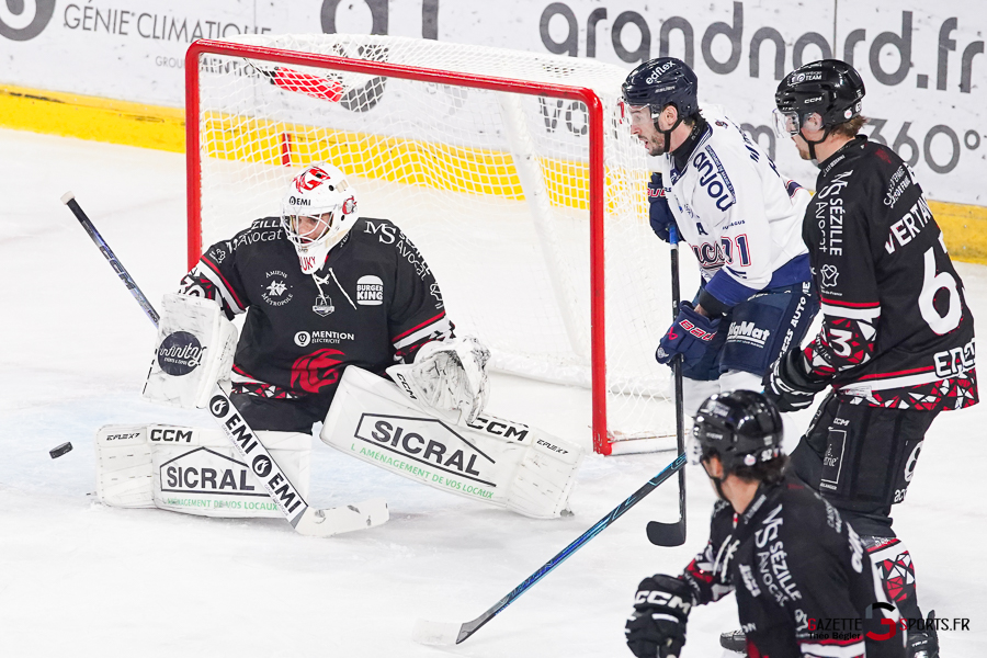 hockey sur glace (synerglace ligue magnus journée 3) : gothiques d’amiens v ducs d’angers