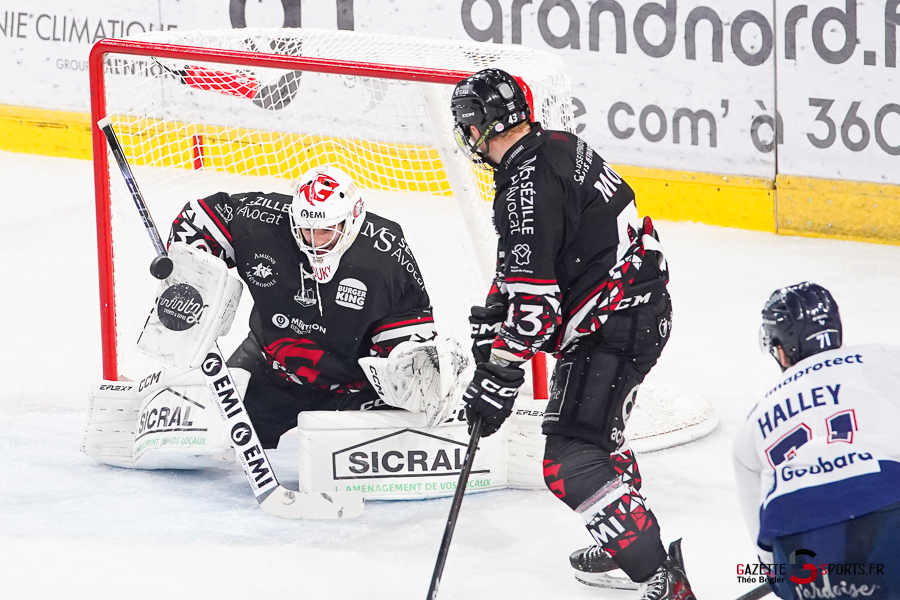 hockey sur glace (synerglace ligue magnus journée 3) : gothiques d’amiens v ducs d’angers