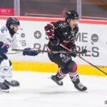 hockey sur glace (synerglace ligue magnus journée 3) : gothiques d’amiens v ducs d’angers