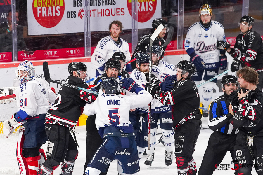 hockey sur glace (synerglace ligue magnus journée 3) : gothiques d’amiens v ducs d’angers
