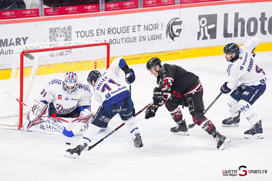 hockey sur glace (synerglace ligue magnus journée 3) : gothiques d’amiens v ducs d’angers