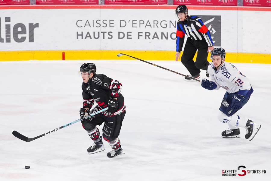 hockey sur glace (synerglace ligue magnus journée 3) : gothiques d’amiens v ducs d’angers