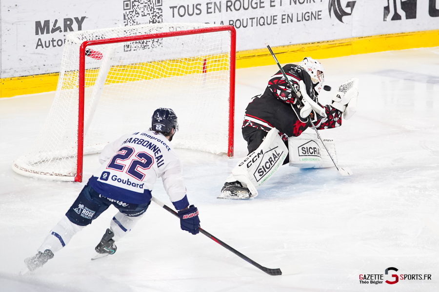 hockey sur glace (synerglace ligue magnus journée 3) : gothiques d’amiens v ducs d’angers