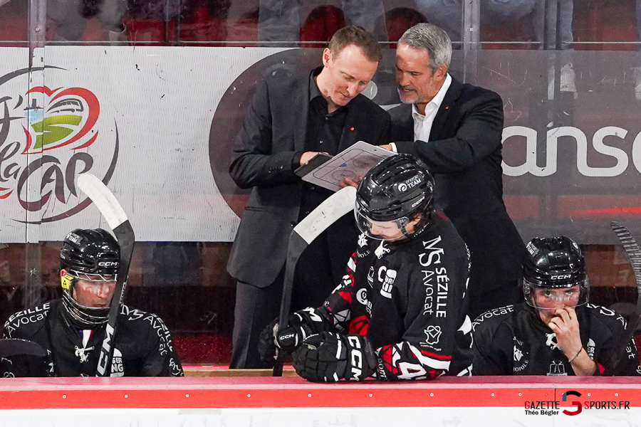 hockey sur glace (synerglace ligue magnus journée 3) : gothiques d’amiens v ducs d’angers