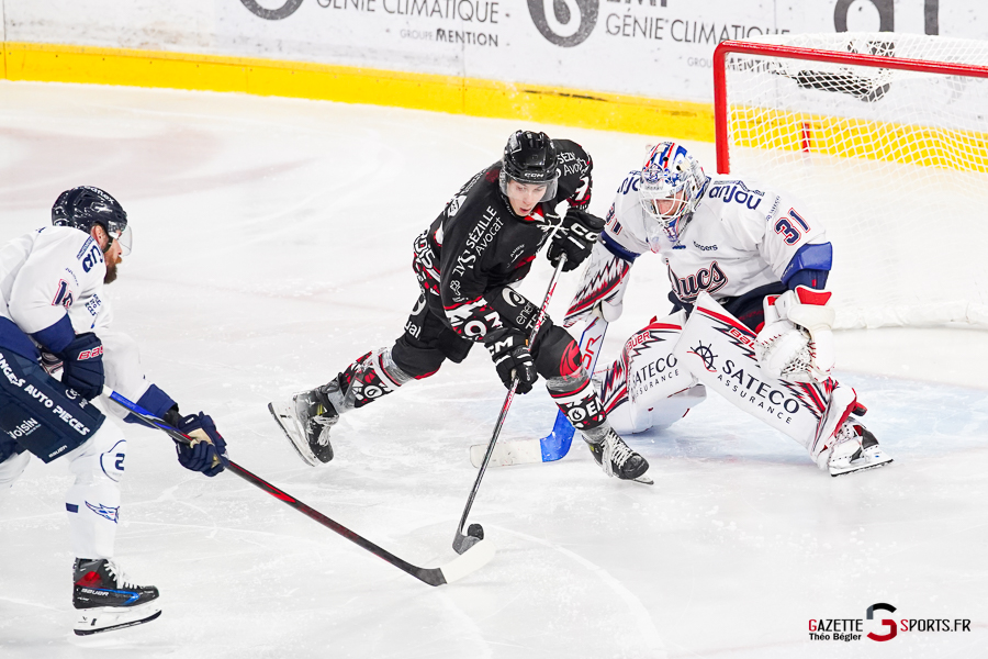 hockey sur glace (synerglace ligue magnus journée 3) : gothiques d’amiens v ducs d’angers